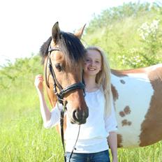 Pinto Klaus Dot Com Sepovinen