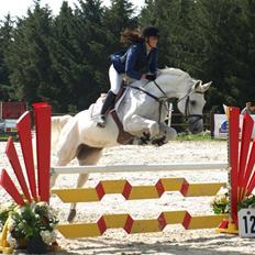 Dansk Varmblod Corra O