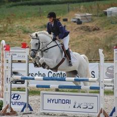 Dansk Varmblod Corra O