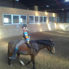 Anden særlig race Farytaile<3