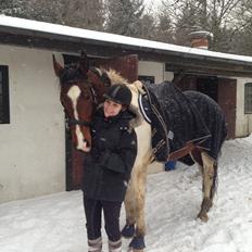 Pinto Hoelgaard's Ferrari Enzo