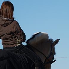 Fjordhest Campari aka. Nullergøjser<3