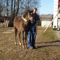 Anden særlig race Turbo-Nova