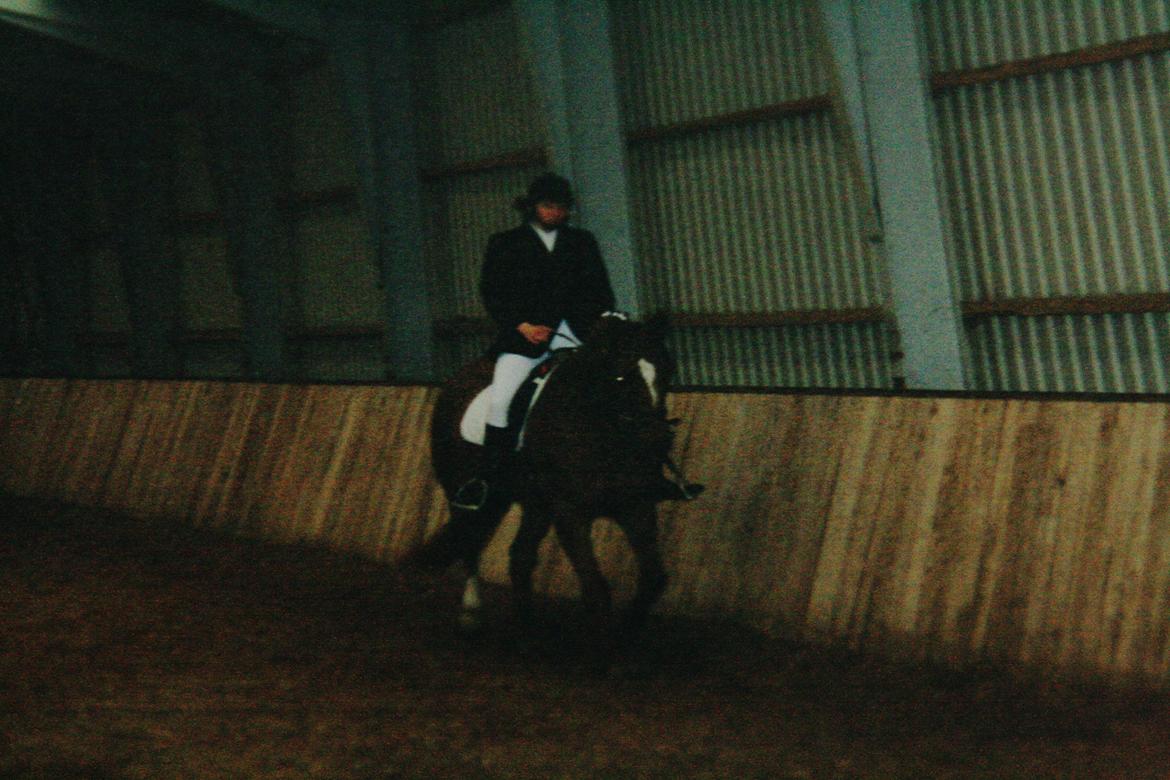 Dansk Varmblod skovvejens Isabella R.I.P - Mor og Isabella til stævne  billede 10