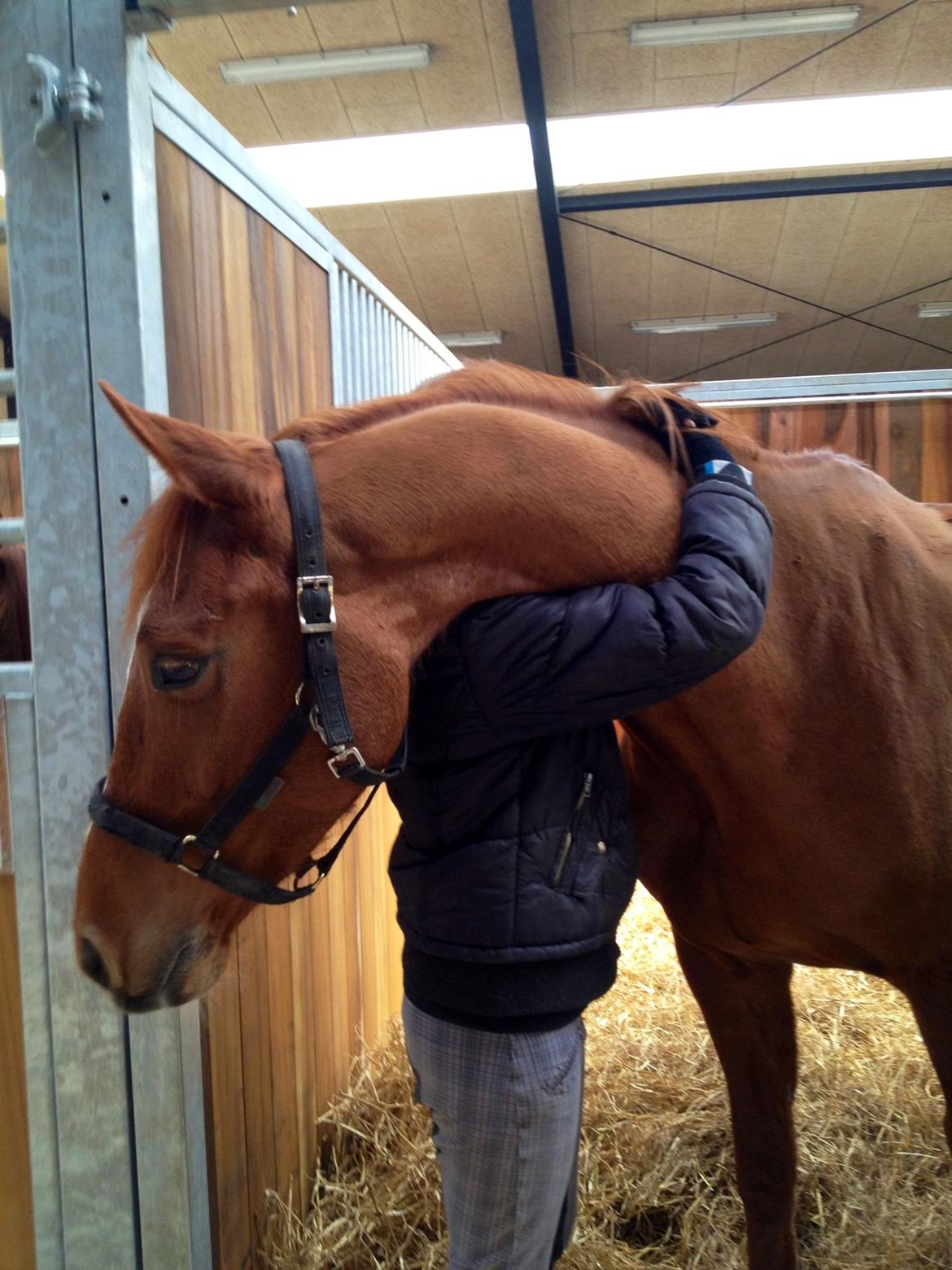 Anden særlig race Ratata <3 - lige en krammer, efter han lige er ankommet på det nye Eor <3 billede 17