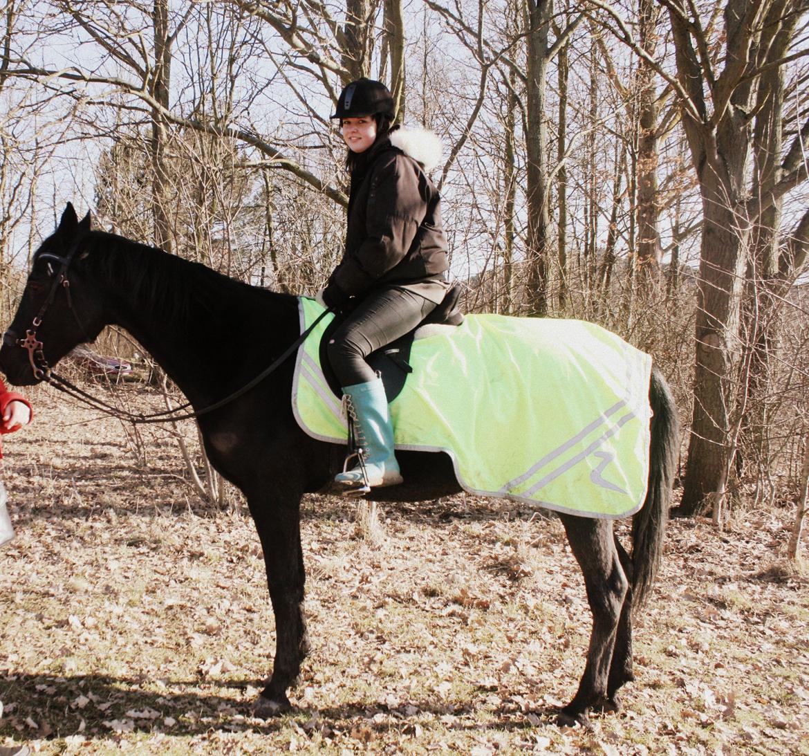 Traver Top gun (Himmelhest. Hvil i fred min engel) billede 7