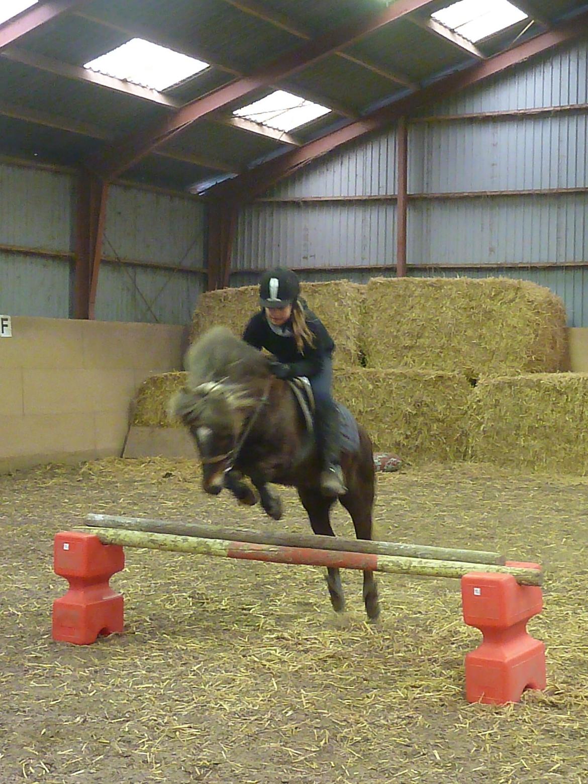 Anden særlig race Tarzan billede 5