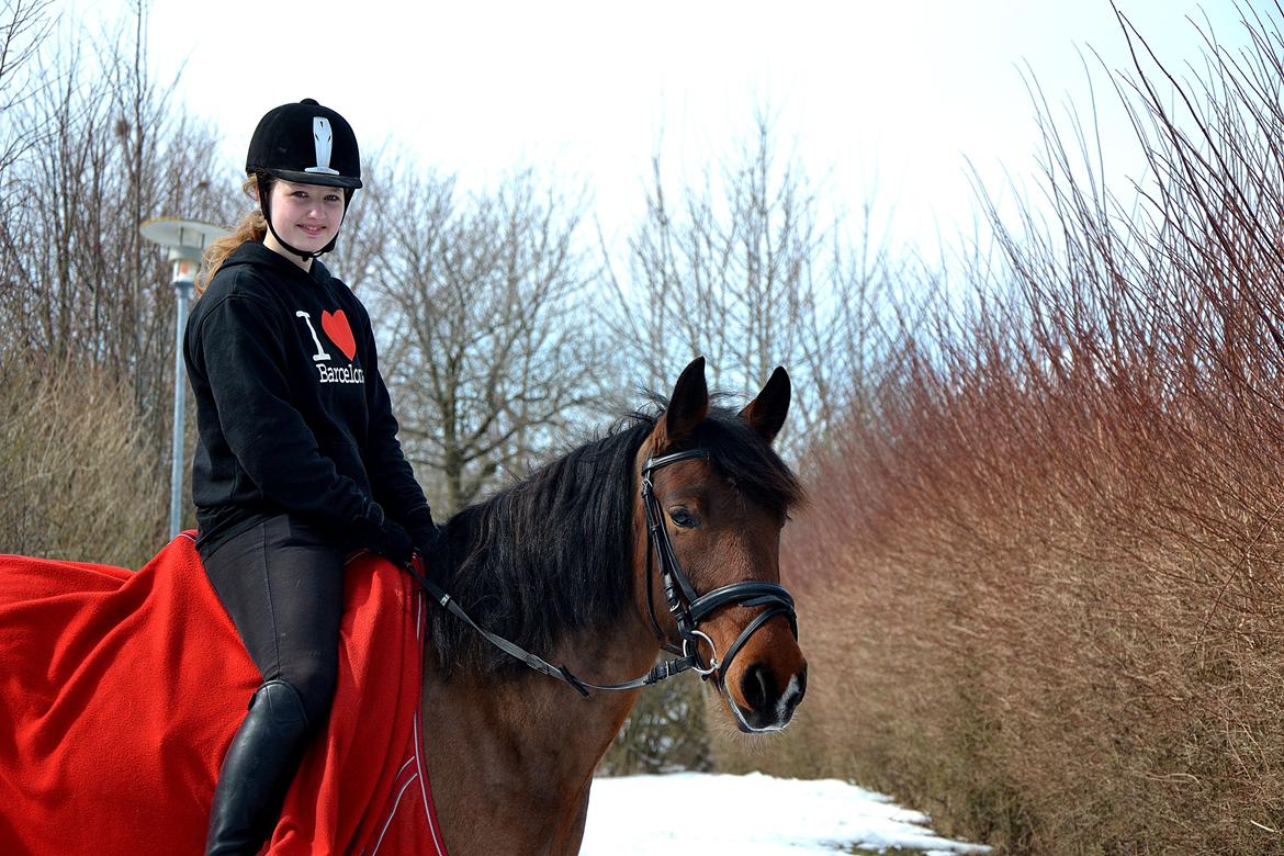 Anden særlig race TASJA - 28 marts 2013 - nyder den sidste tid med dig!  billede 19