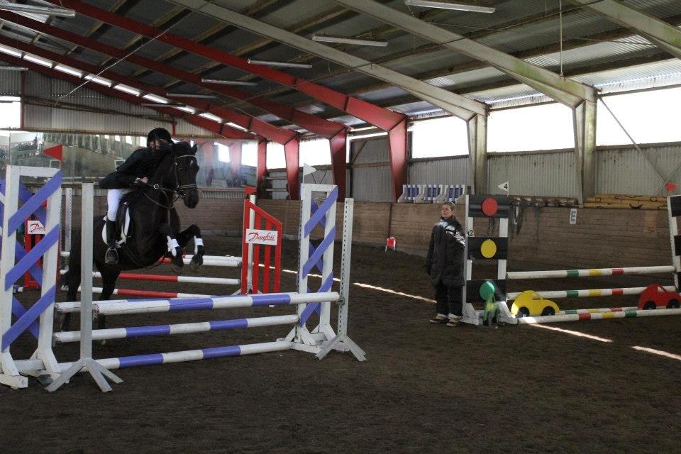 Welsh Cob (sec D) Bjerregård Zeus - Spring stævne den 28/3-13
Zeeeeus var dejlig<3 billede 9