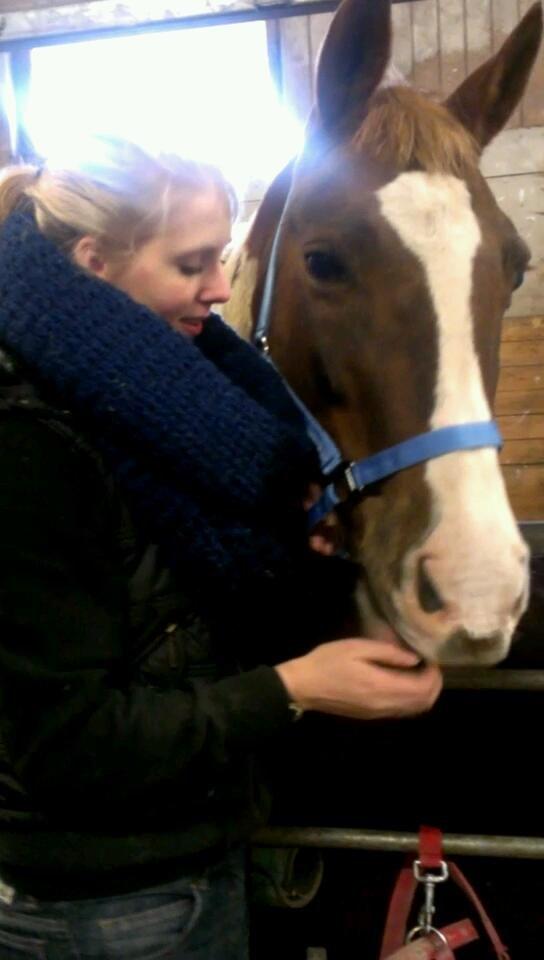 Pinto Tippi billede 2