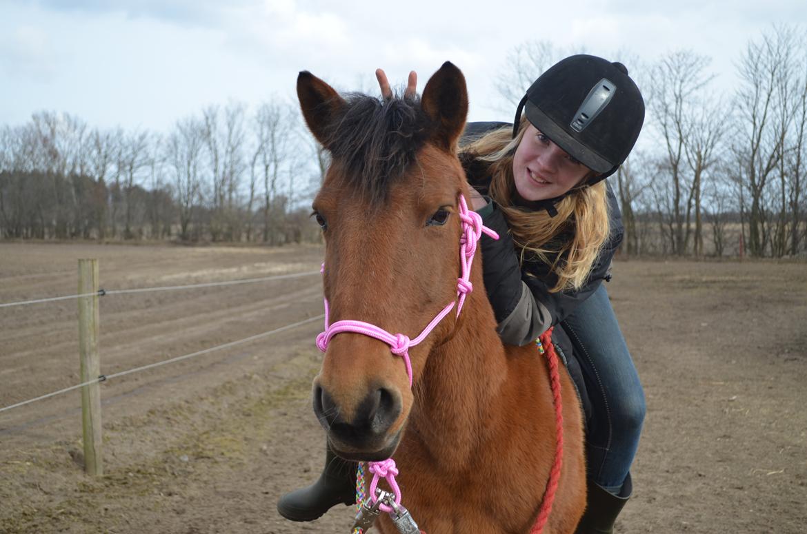 Anden særlig race Flicka billede 10