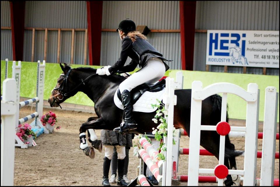 Anden særlig race Lulle-pigen - 9)Omspringning på slr LA<3 Foto: simone s billede 9