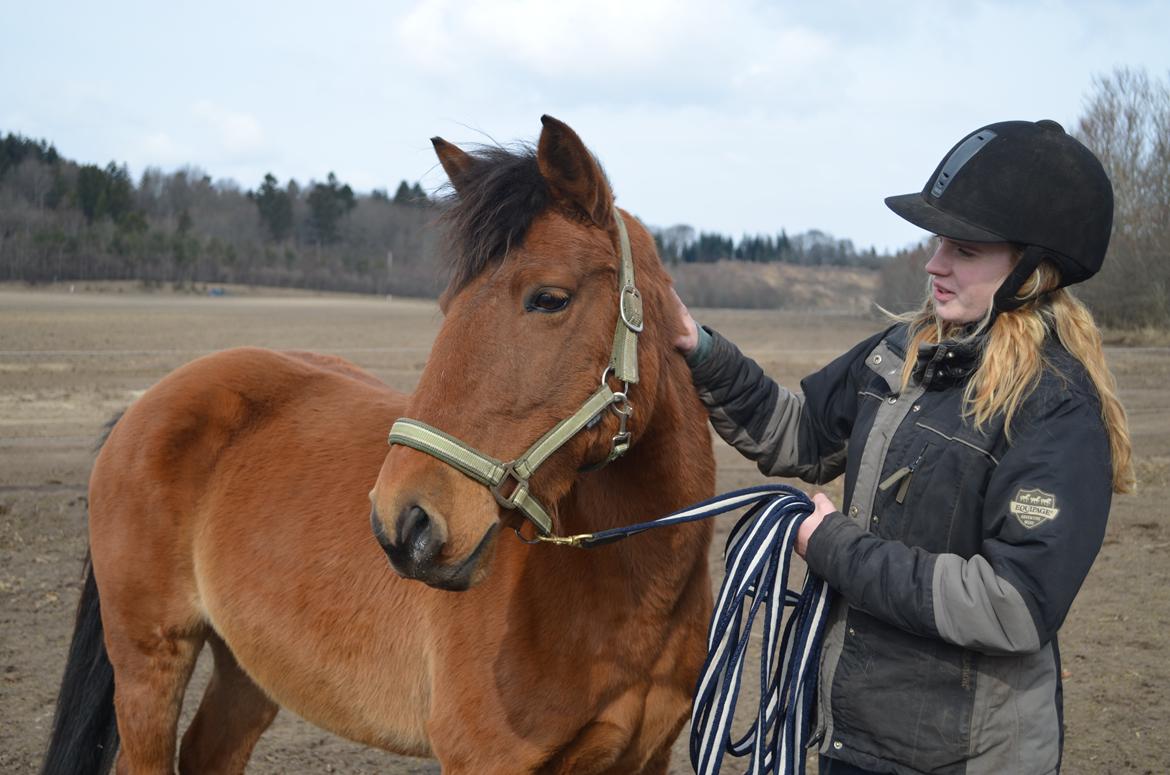 Anden særlig race Flicka billede 13