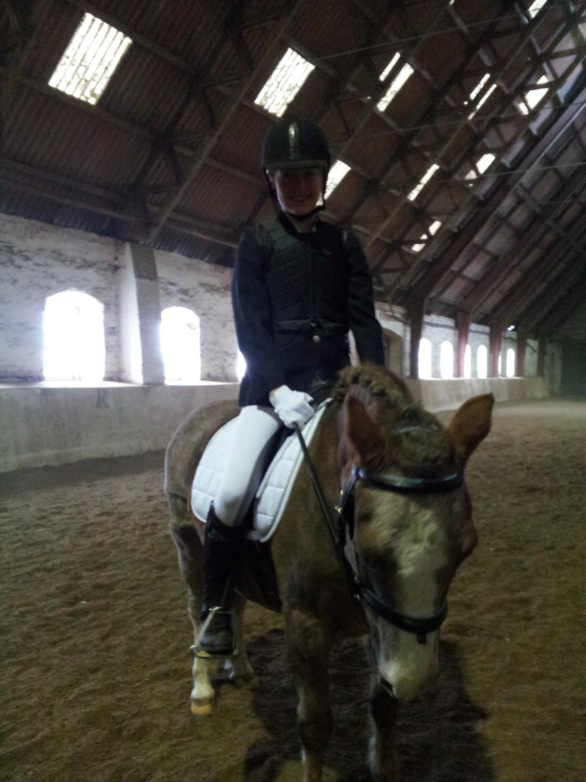 Dartmoor Skovbrynets Bastjan - Bastian og jeg til Team Cup Dressur :) billede 10