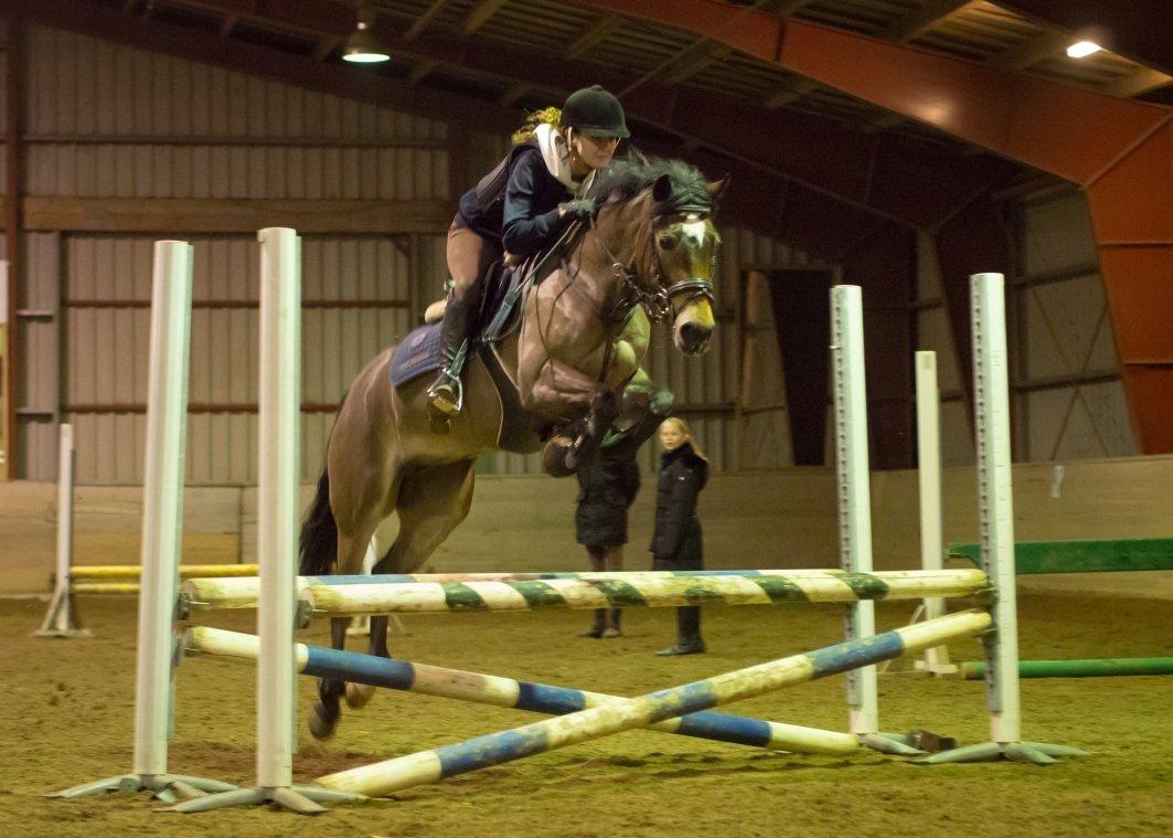 Hollandsk Sportspony July - Træning. Foto: Rune. billede 7