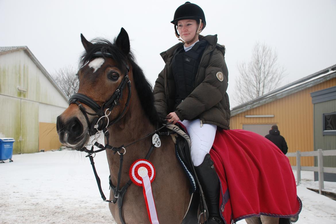 Hollandsk Sportspony July - 1 plads på Slangerup <3 Foto: Mie Raun. billede 4