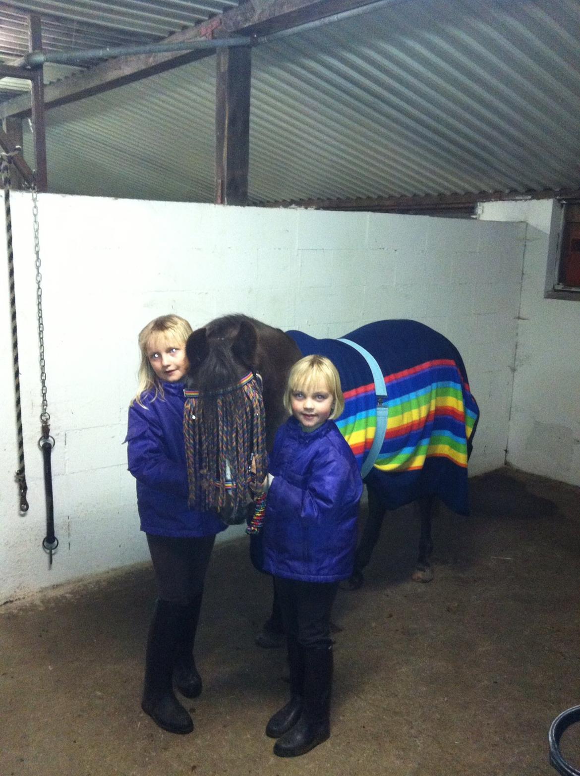 New Forest Bella billede 10