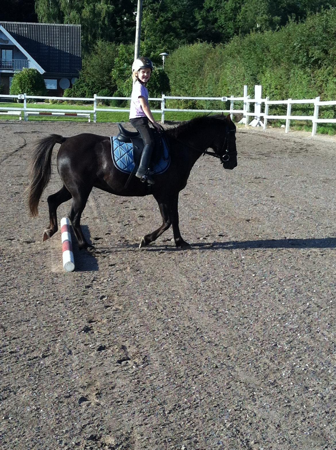 New Forest Bella billede 9