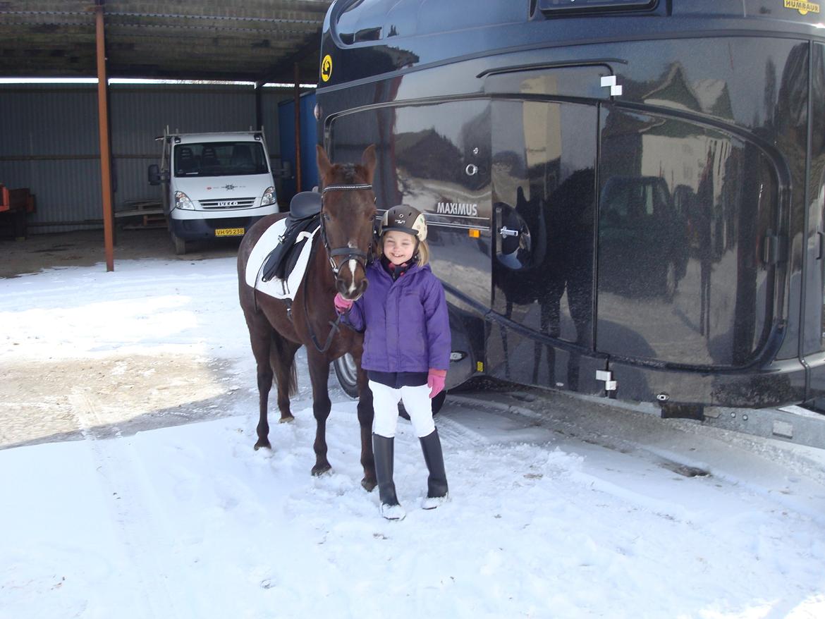 New Forest Bella billede 12