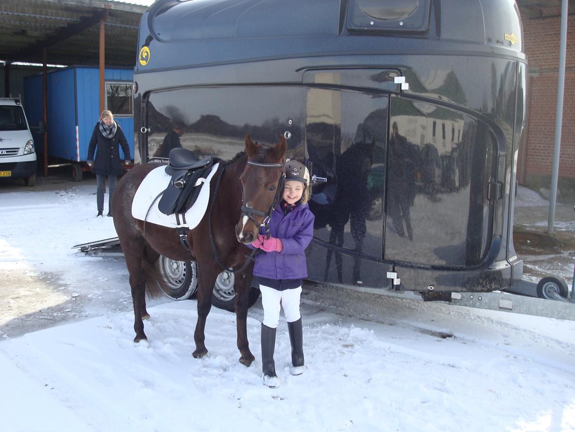 New Forest Bella - Camillas og Bellas første stævne. billede 11