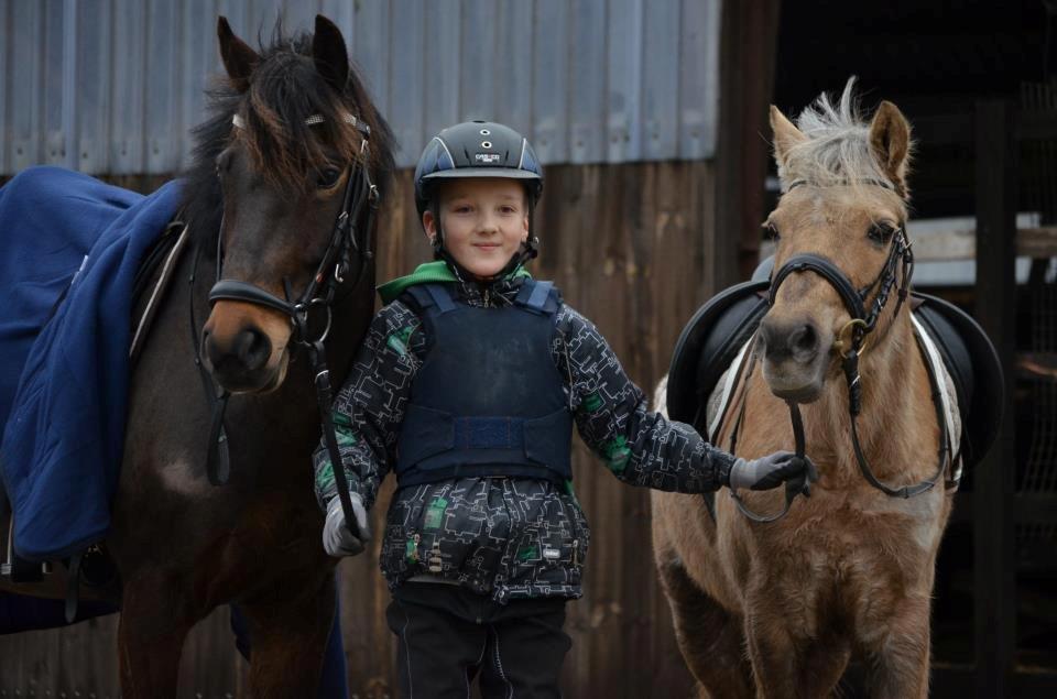 Welsh Pony (sec B) Låddenhøjs Medina billede 1