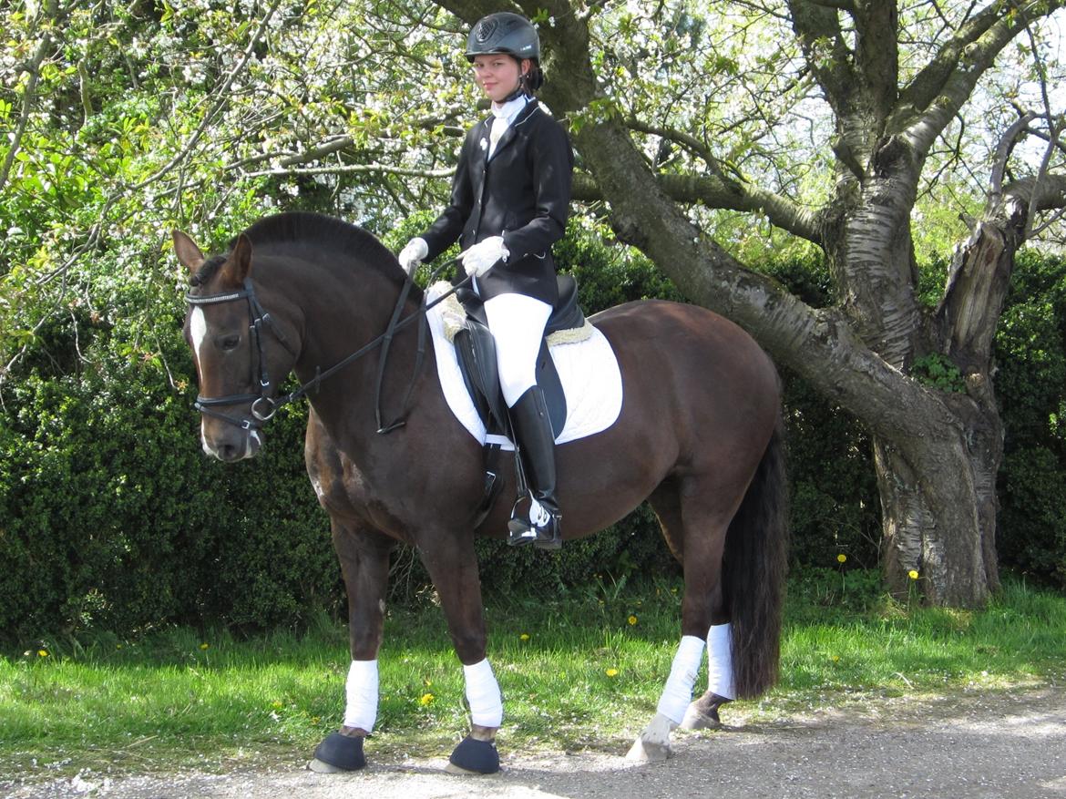 New Forest Firfod Jordbær med fløde - <3 billede 11