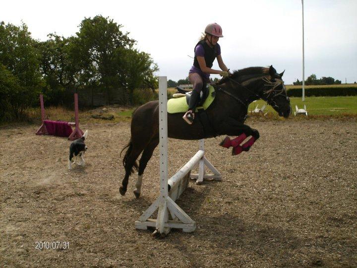 New Forest Firfod Jordbær med fløde - Træning hjemme billede 13