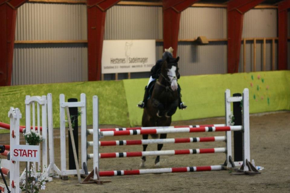 Holstener Magic Z billede 1