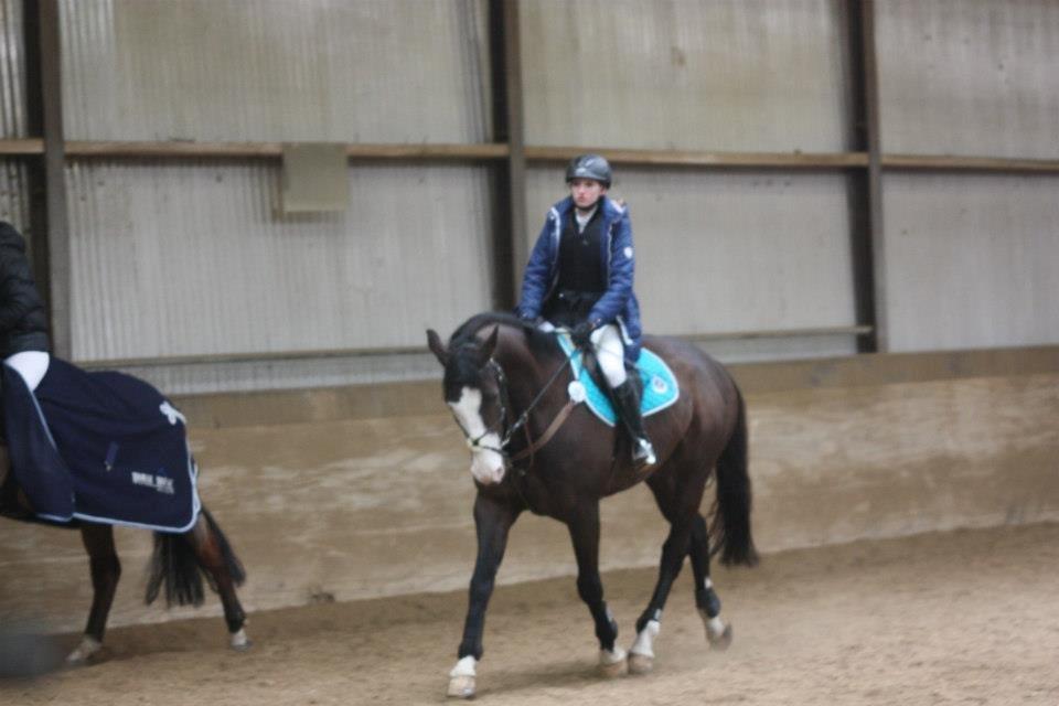 Holstener Magic Z billede 2