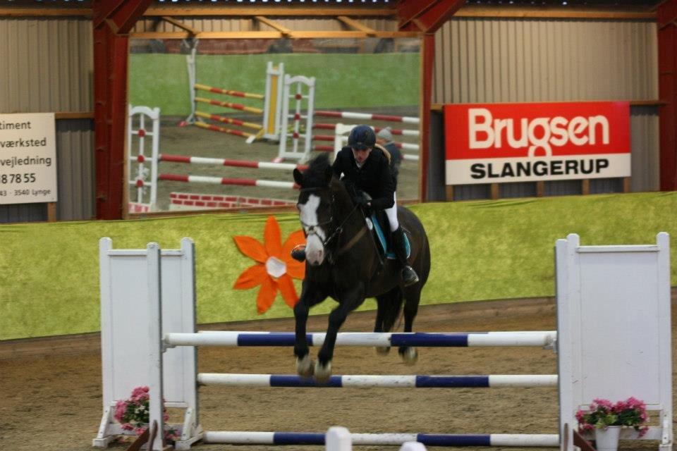 Holstener Magic Z billede 3