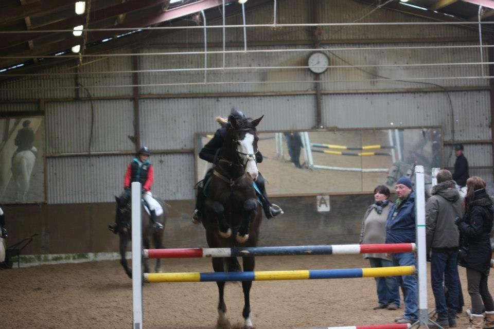 Holstener Magic Z billede 4