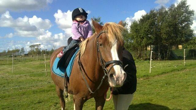 Anden særlig race Birkelund´s Massey - Første gang min niece rider på Massey billede 2