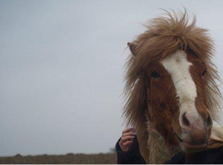 Islænder Girdir billede 10