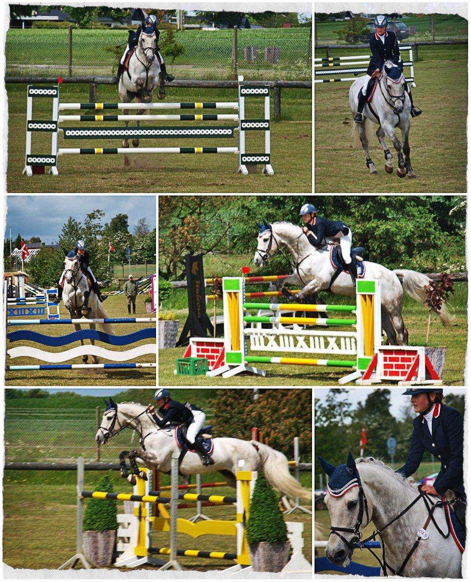 Holstener Unicorn choise - Holstebro maj 2012 - FOTO: Maria Koldsø billede 4