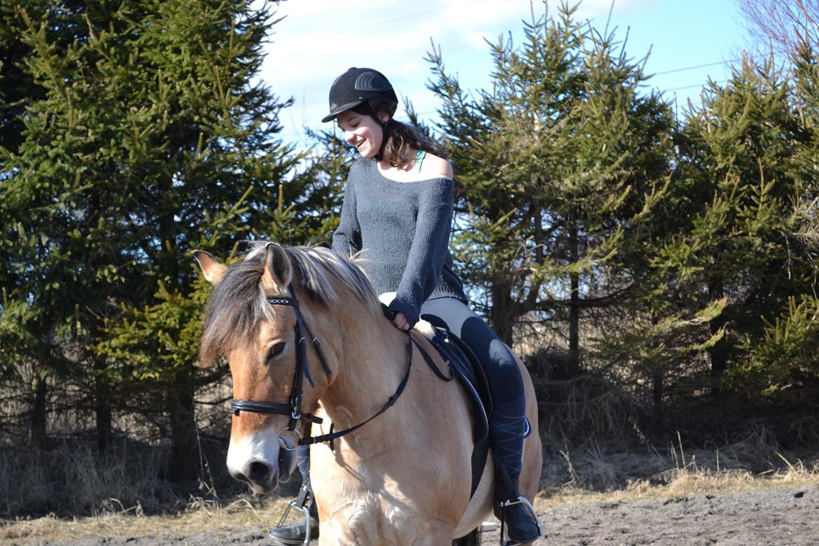 Anden særlig race Lukas [Tidl. hest] billede 5