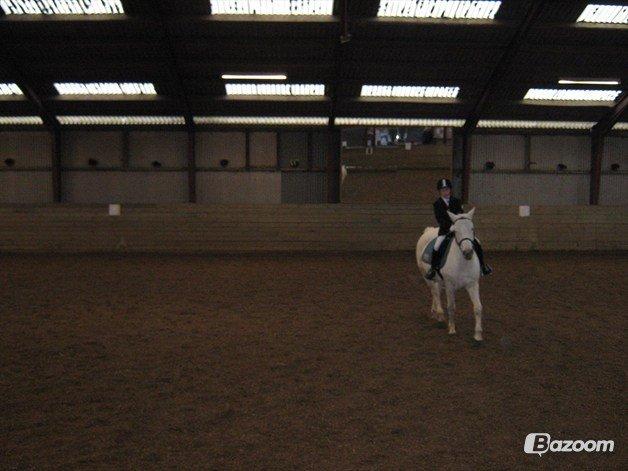 Anden særlig race Tessa <3<3 billede 9