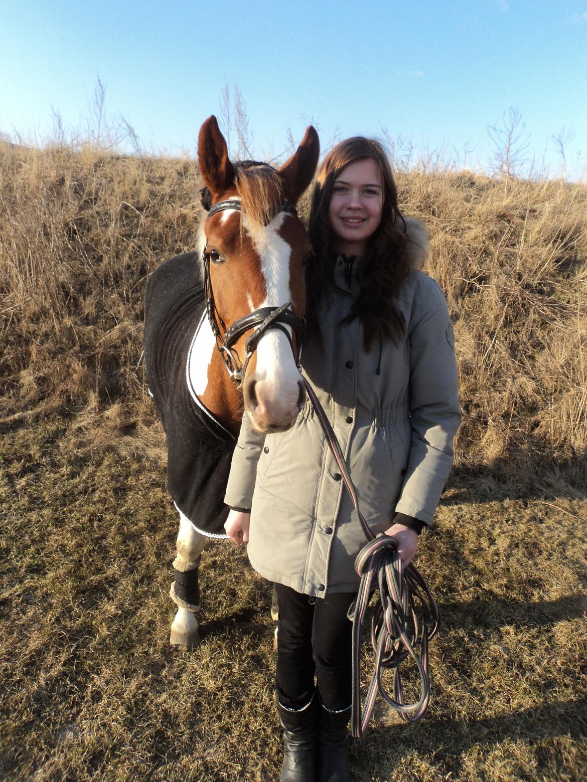 Anden særlig race Mc Queen billede 13