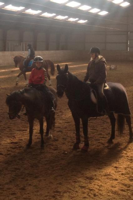 Anden særlig race Farytaile<3 billede 5