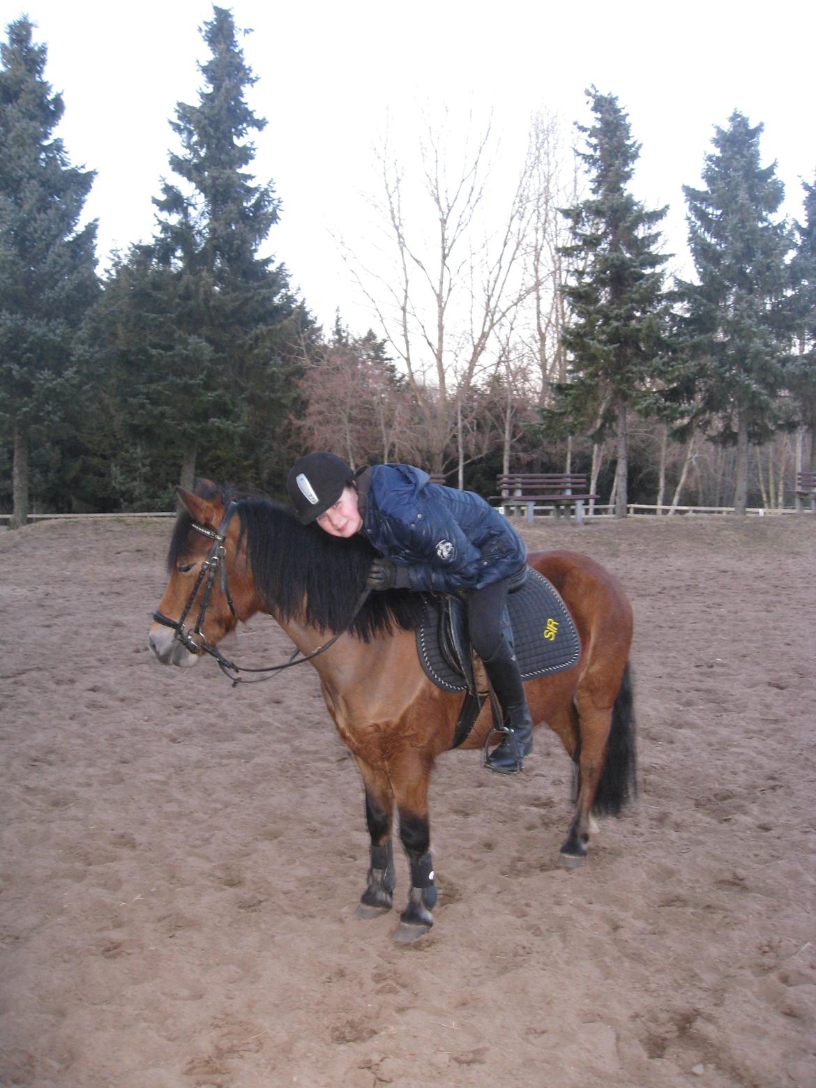 Anden særlig race Bølle Bob - dejlige Bølle <3 billede 6