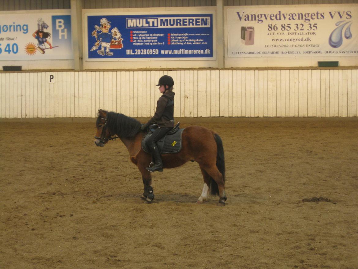 Anden særlig race Bølle Bob - :-) billede 7