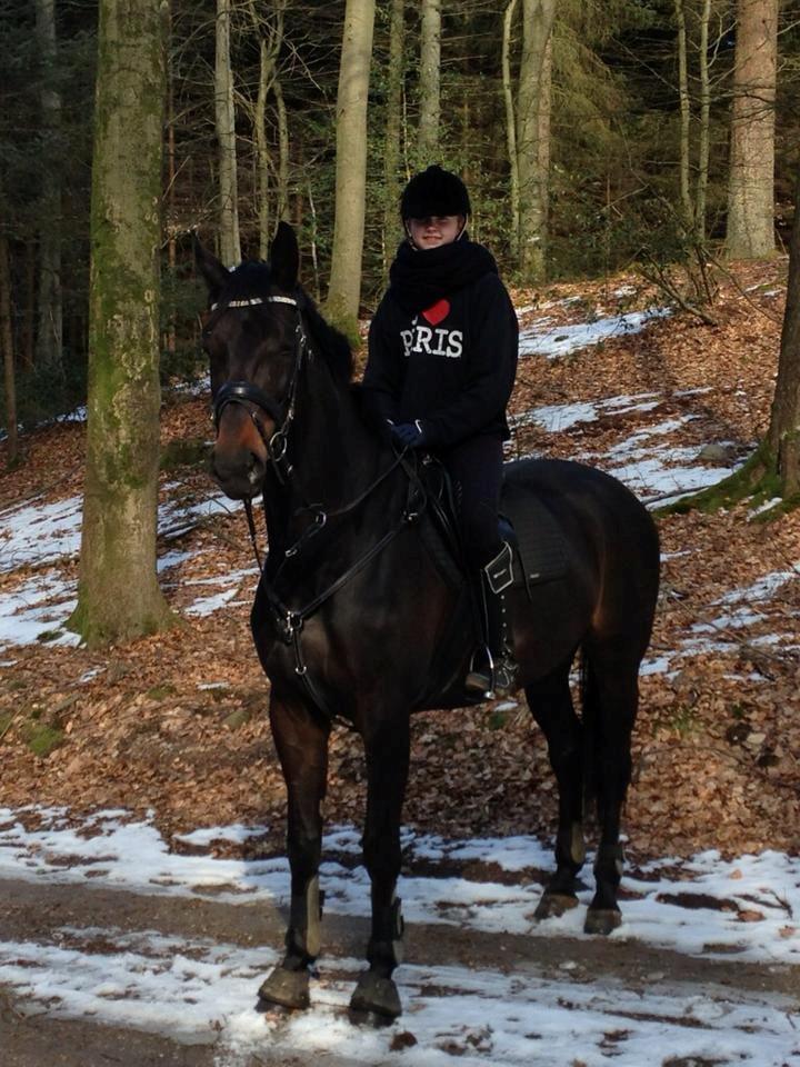 Dansk Varmblod Danglo's Omega - Dig og mig!<3
 31-03-13 Foto: Far billede 16