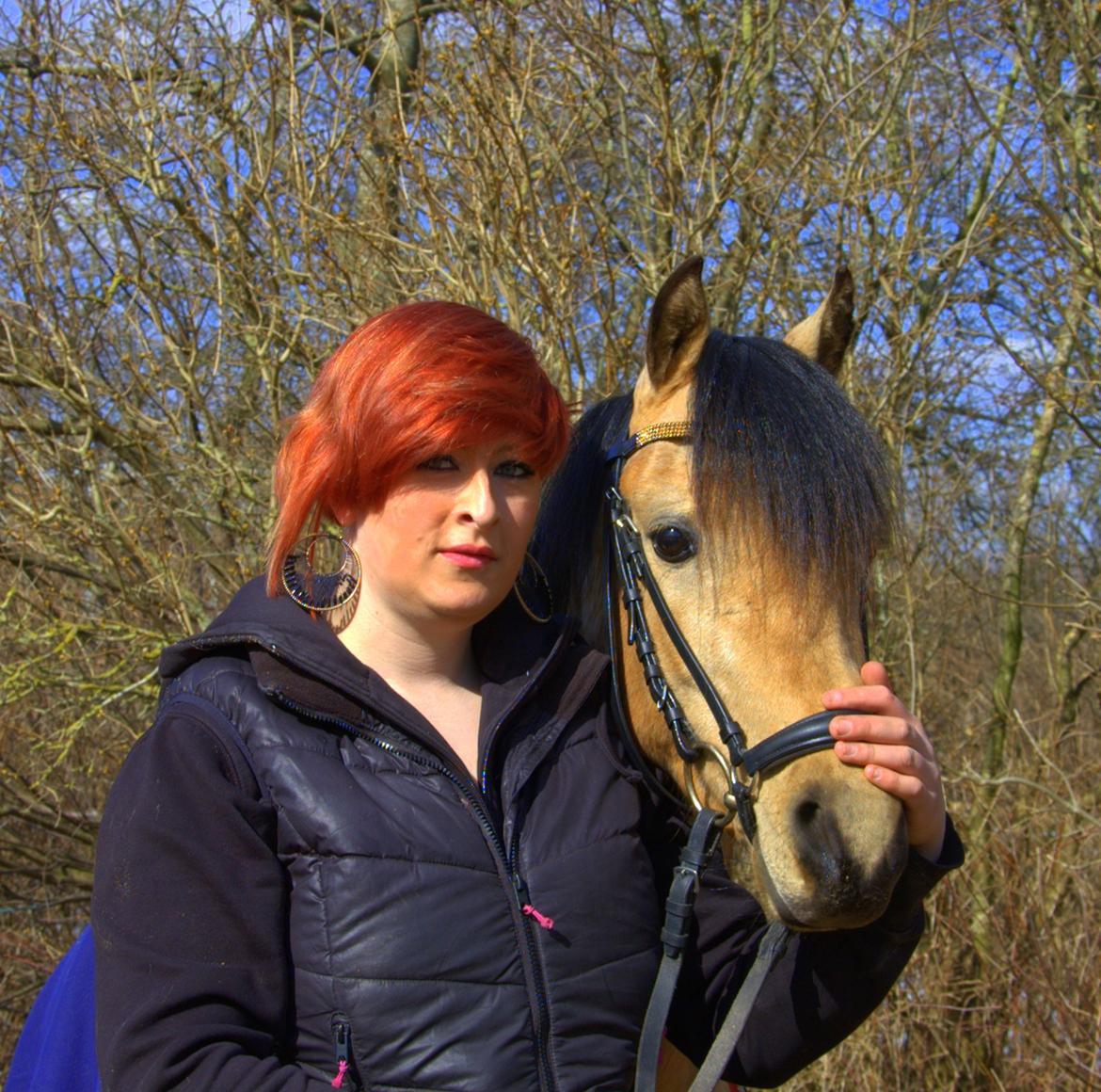 Welsh Partbred (Sec F) Magnifique *SOLGT* billede 17