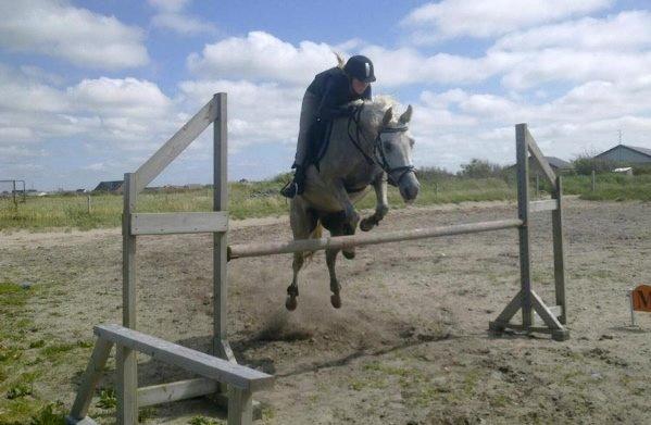 Anden særlig race Dundee<3 - 115cm <3 billede 19