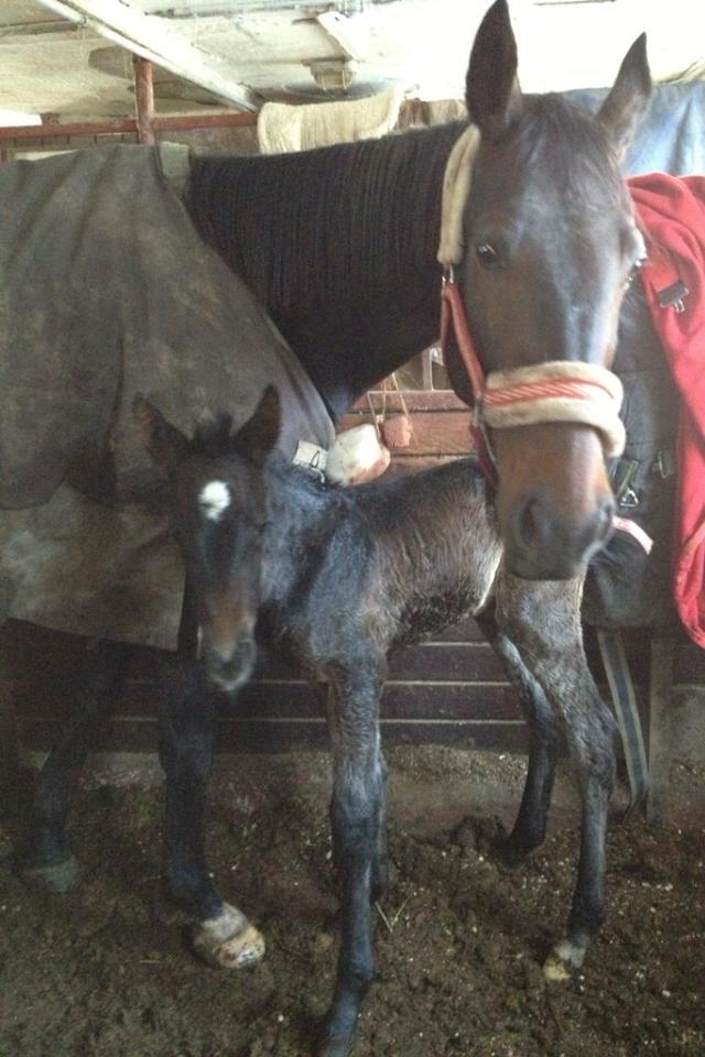 Traver Ofelia M <3 billede 1