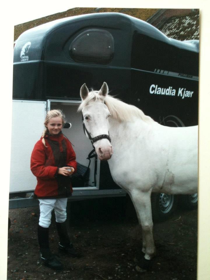 Connemara Mosedals Snowflake - Efter stævne billede 3