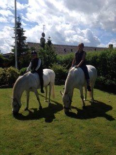 Connemara Mosedals Snowflake - Hjemme i baghaven billede 5