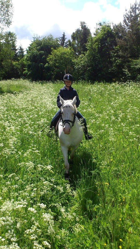Connemara Mosedals Snowflake - Snows og jeg på skovtur billede 11