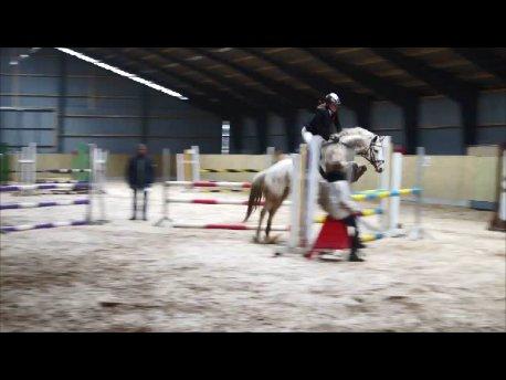 Anden særlig race KARIZMA [Tidl. Lånepony] - 30/3-13 D-stævne i HHH U-LA1* med 0 fejl <33 (Taget fra Video)
 billede 5