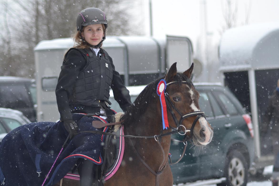 Anden særlig race Beauty - venligst udlånt af  af CG Photos billede 7