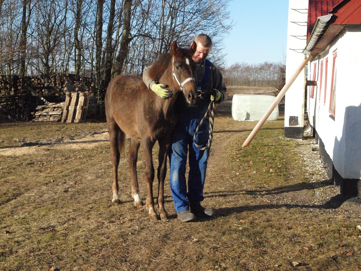 Anden særlig race Turbo-Nova billede 3